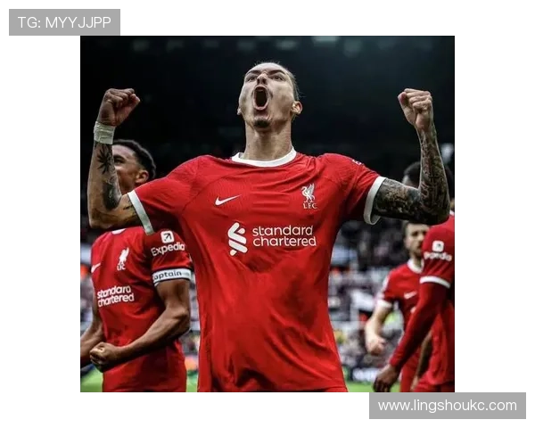 努涅斯效率与战术适配性为何屡遭质疑